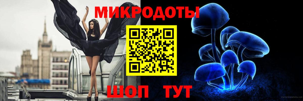 Галлюциногенные грибы GOLDEN TEACHER Рубцовск
